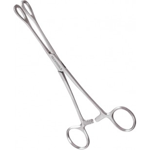 Spounch Forceps